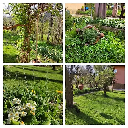 Villa Charodea